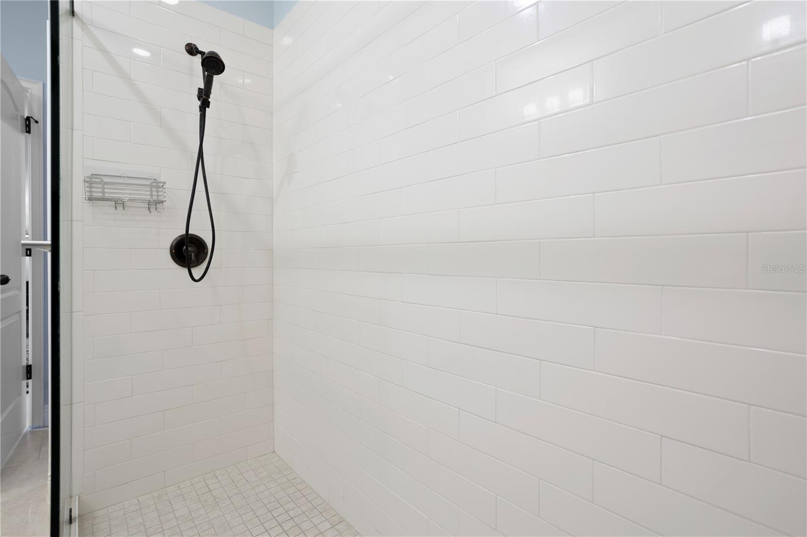 6275 HAMLIN RESERVE BLVD, WINTER GARDEN, FL, 34787