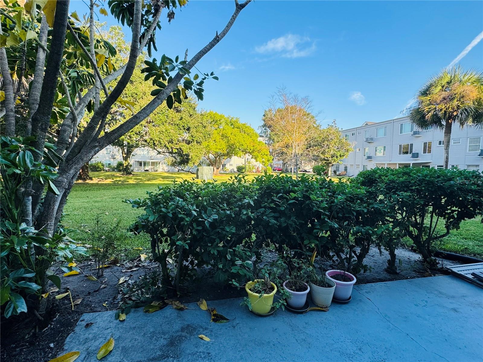 2460 PERSIAN DR #6, CLEARWATER, FL, 33763
