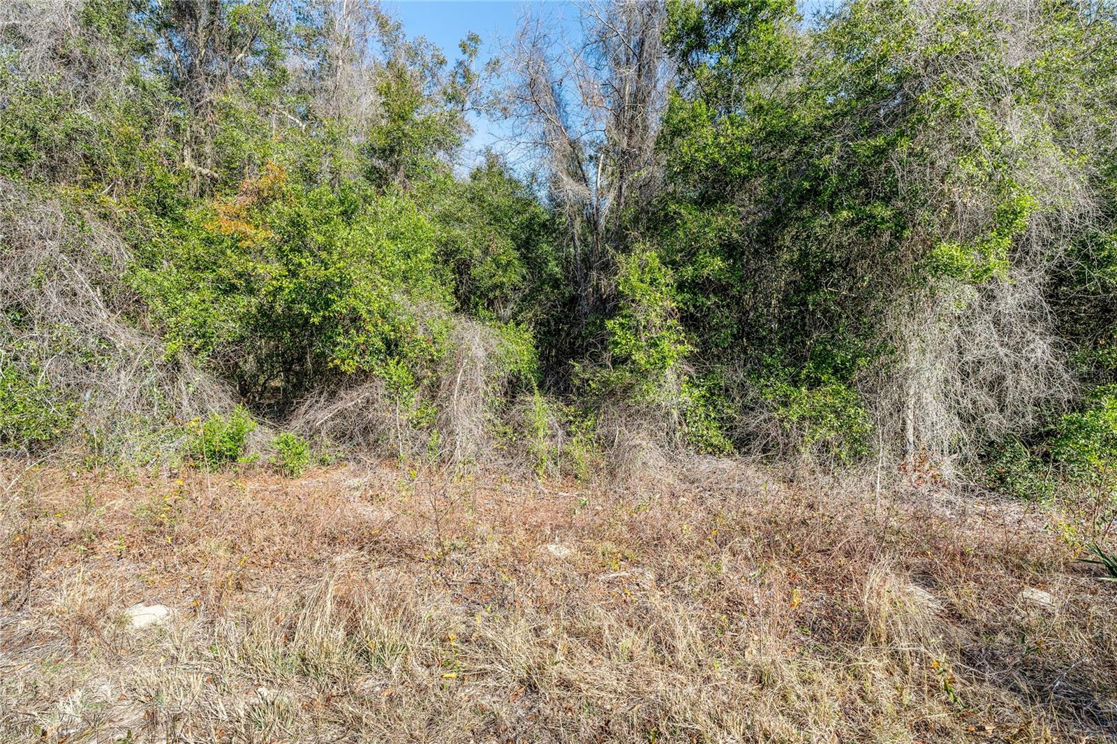 PID 23891-002-00 OFF  SW 46TH AVE, OCALA, FL, 34474