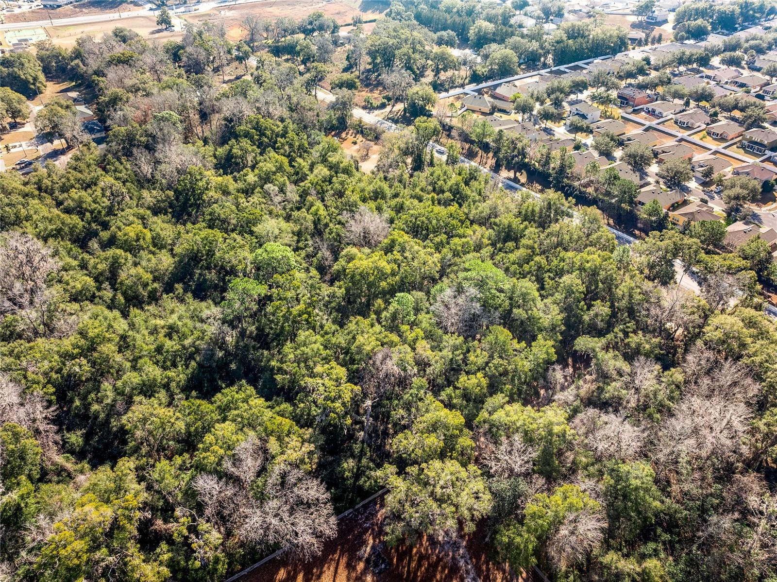 PID 23891-002-00 OFF  SW 46TH AVE, OCALA, FL, 34474