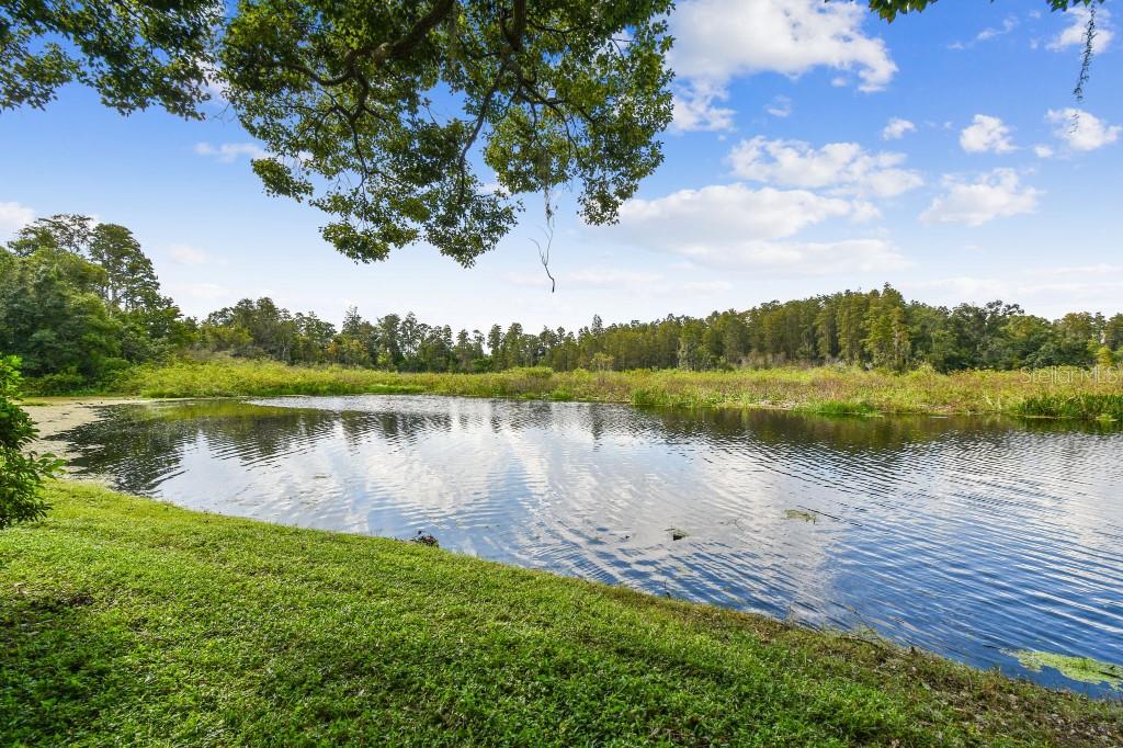 2039 PARK CRESCENT DR, LAND O LAKES, FL, 34639