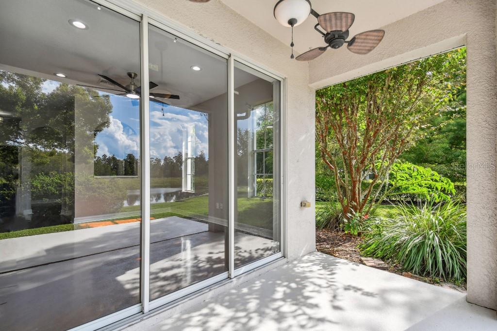 2039 PARK CRESCENT DR, LAND O LAKES, FL, 34639