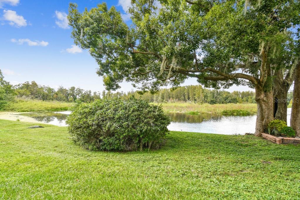 2039 PARK CRESCENT DR, LAND O LAKES, FL, 34639