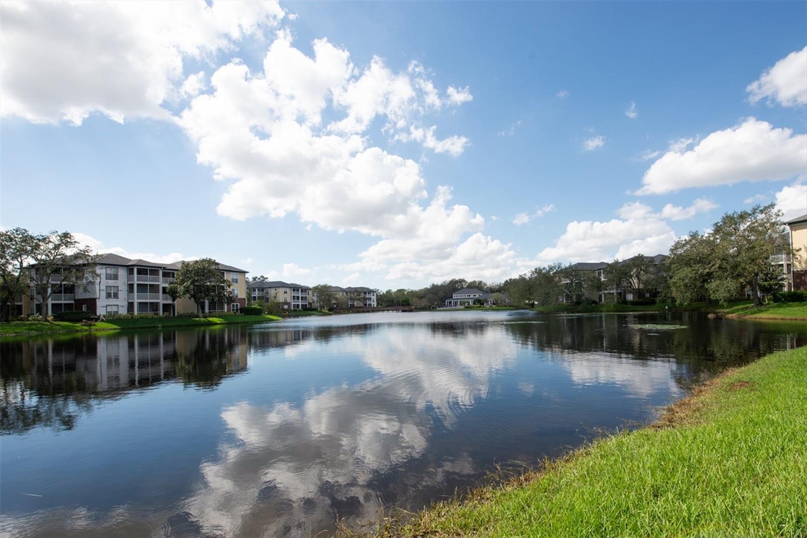 10122 WINSFORD OAK BLVD #403, TAMPA, FL, 33624