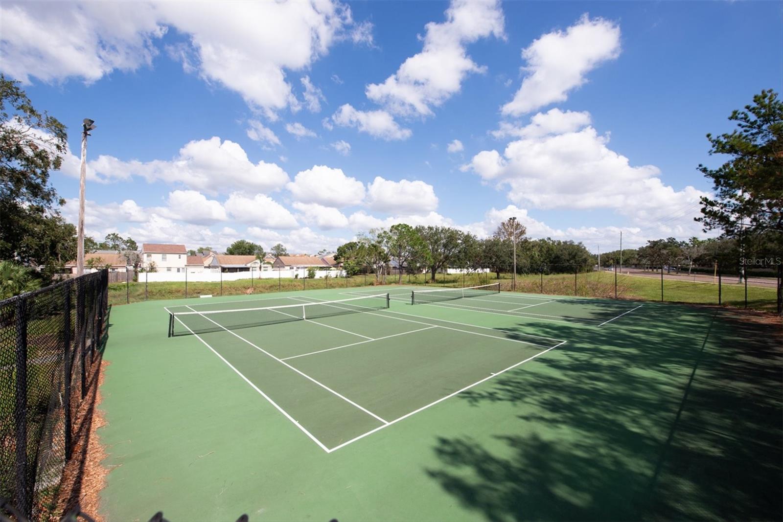 10122 WINSFORD OAK BLVD #403, TAMPA, FL, 33624