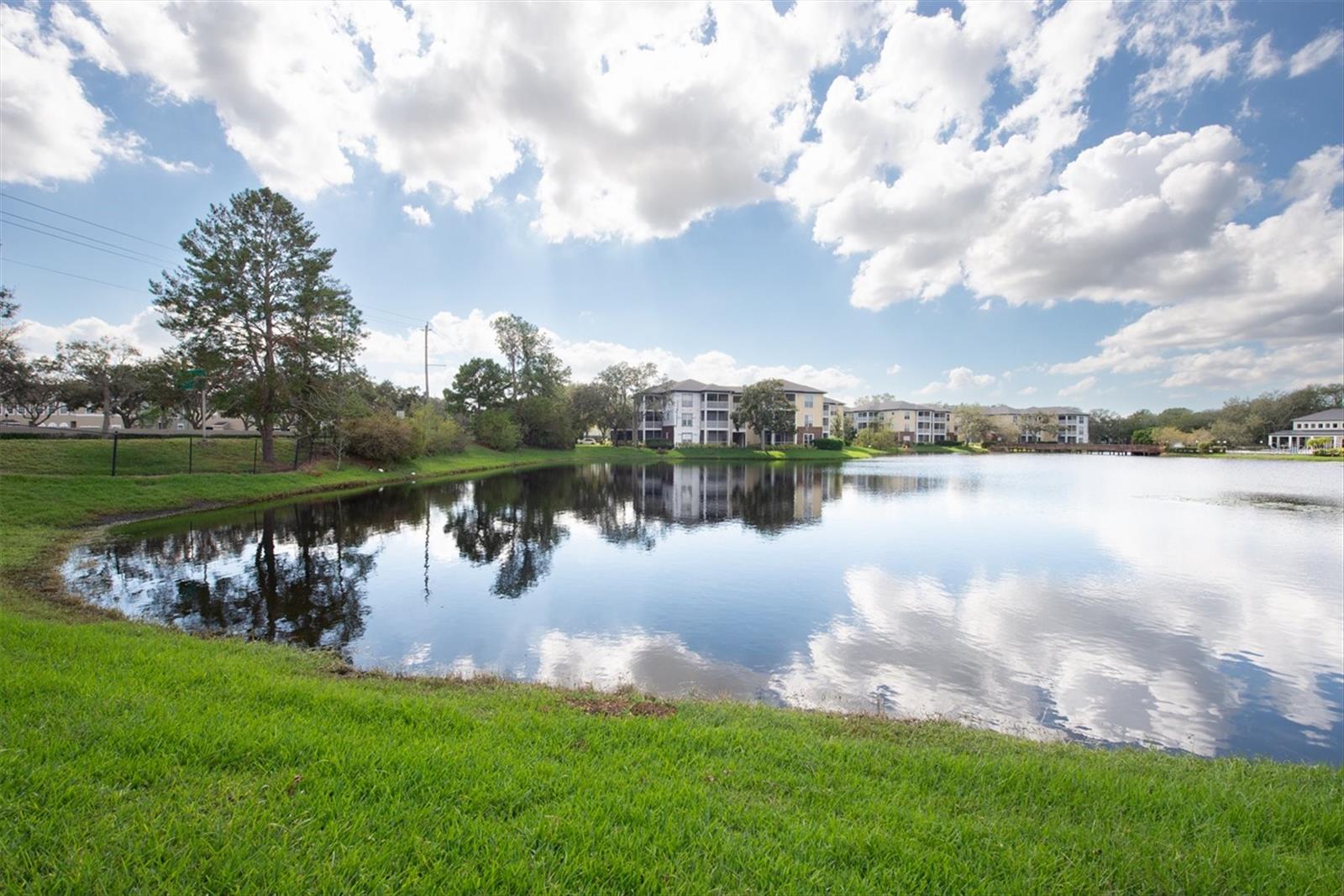 10122 WINSFORD OAK BLVD #403, TAMPA, FL, 33624