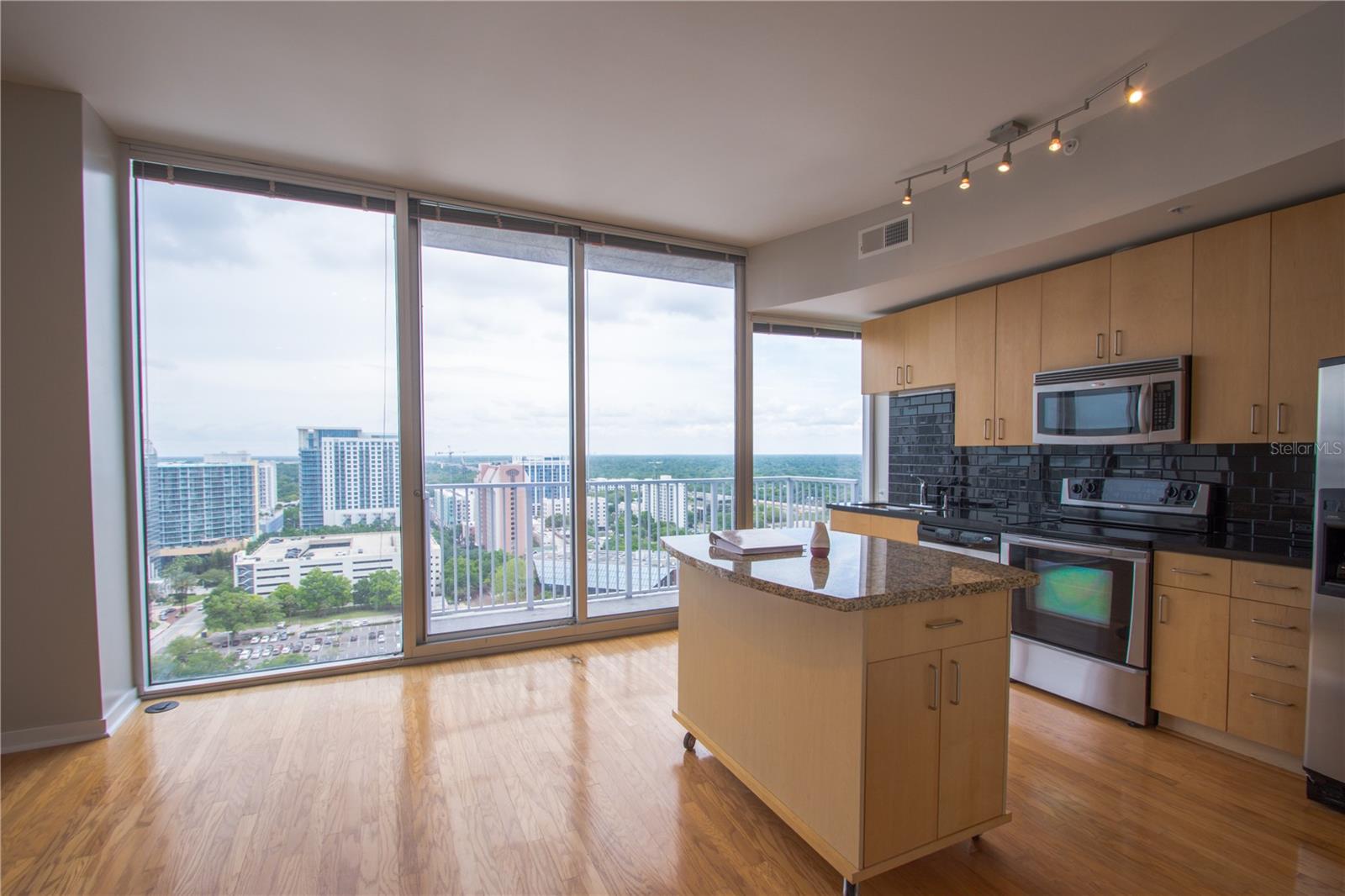 155 S COURT AVE #1707, ORLANDO, FL, 32801