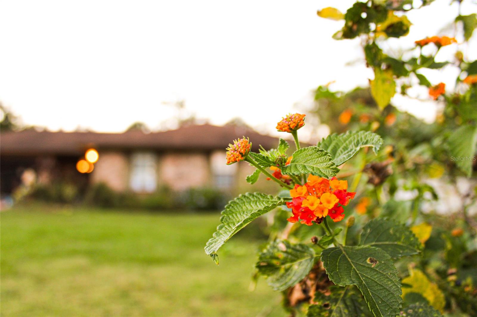 1159 COLLINS AVE, ORANGE CITY, FL, 32763