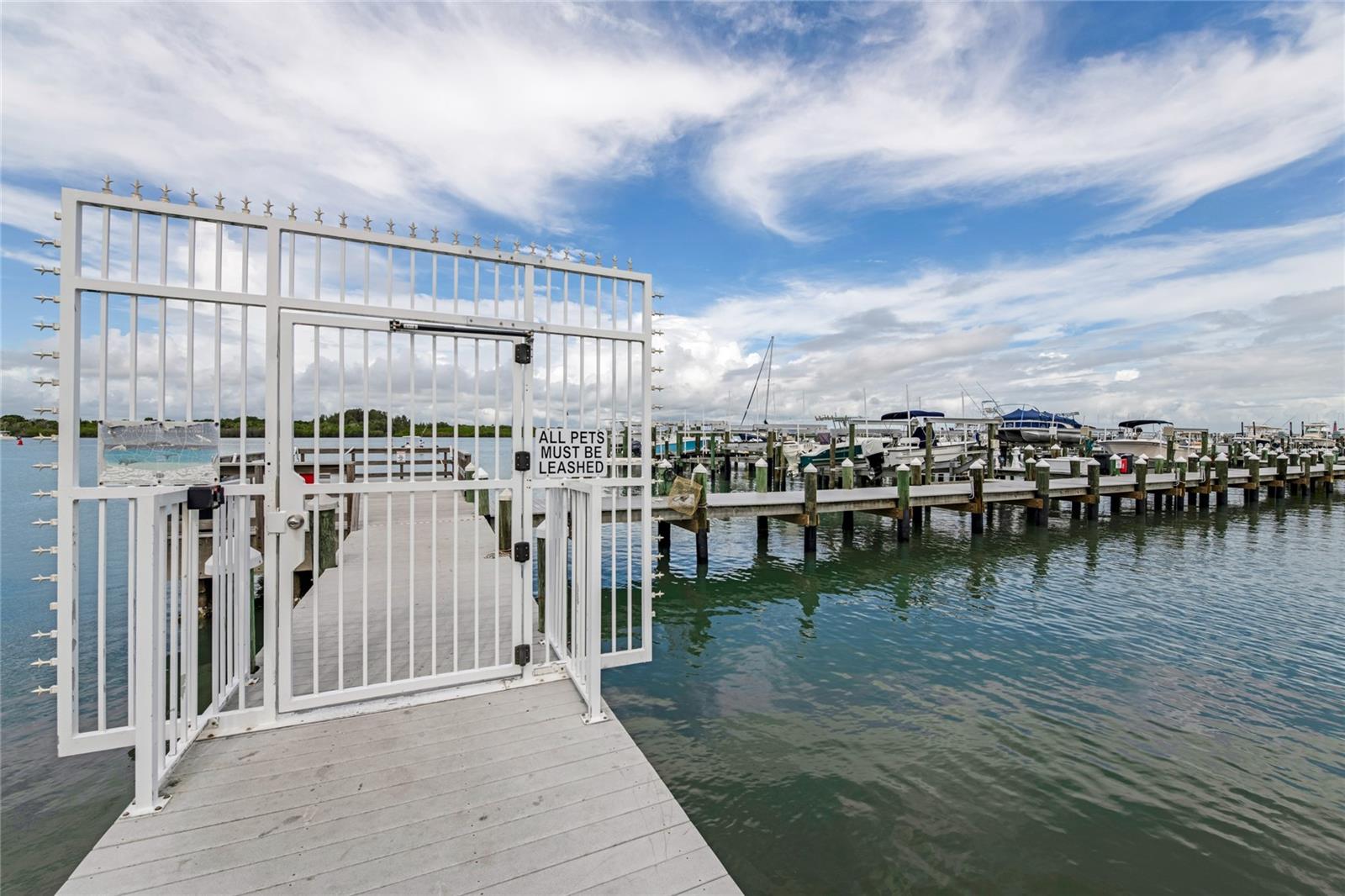 250 MINORCA BEACH WAY #706, NEW SMYRNA BEACH, FL, 32169