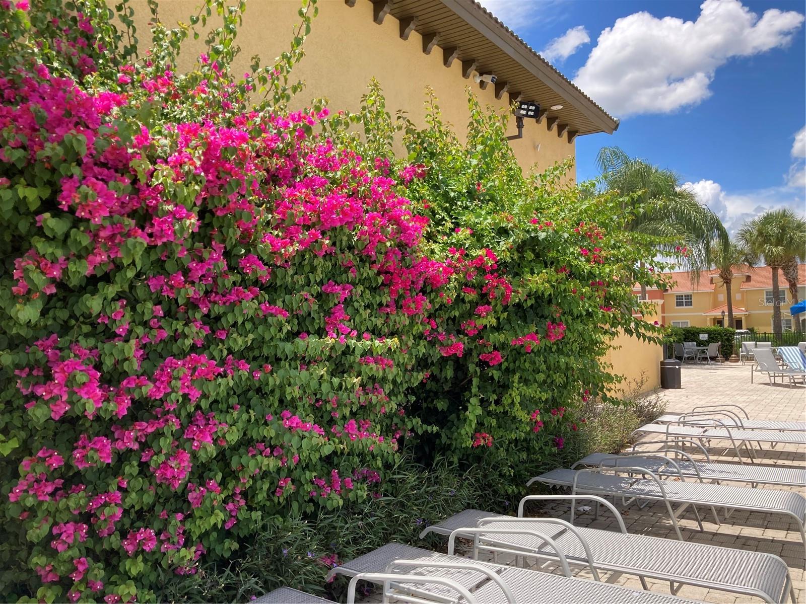 8977 CANDY PALM RD, KISSIMMEE, FL, 34747