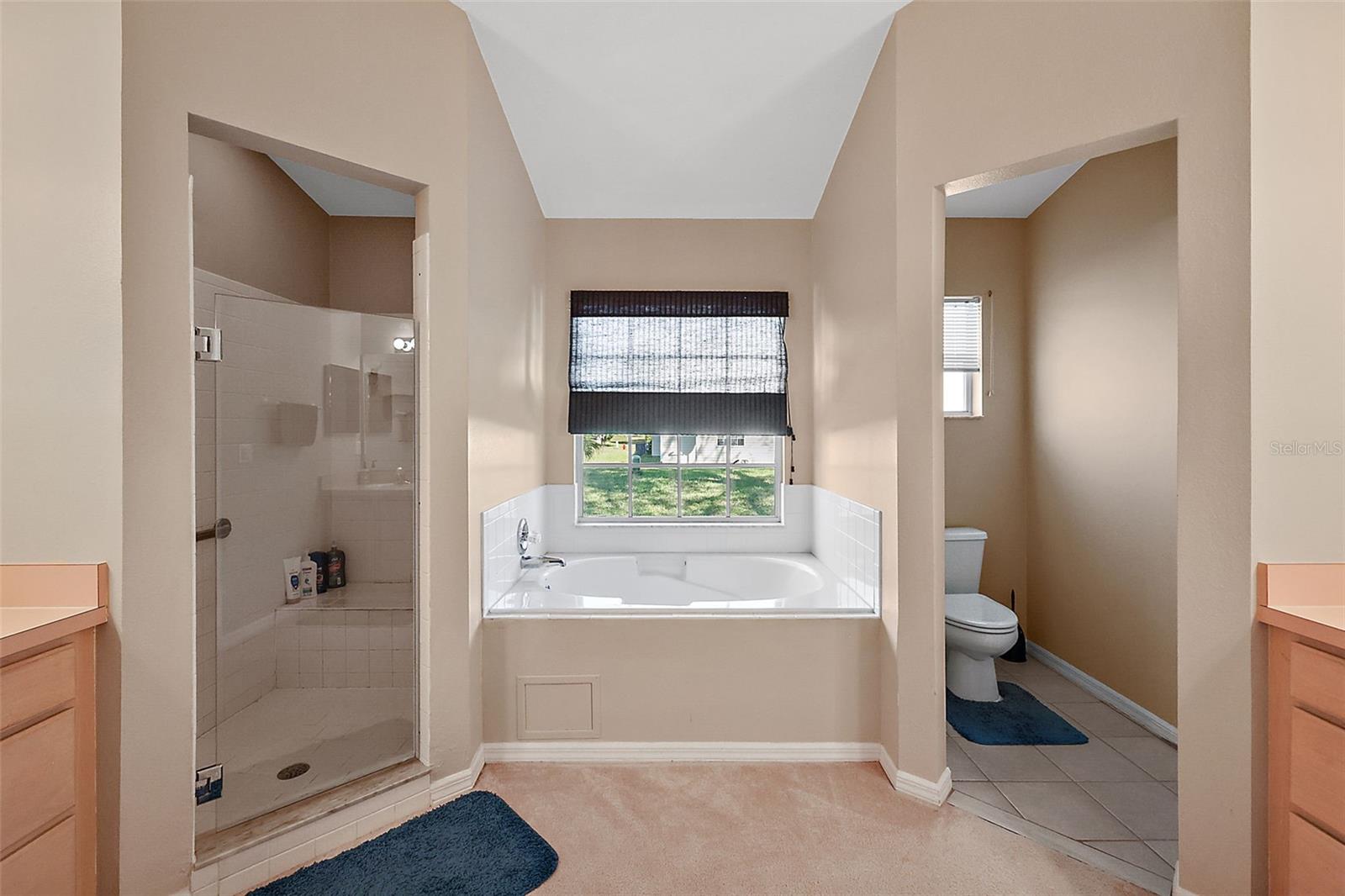 5535 HAMLIN CT, LEESBURG, FL, 34748