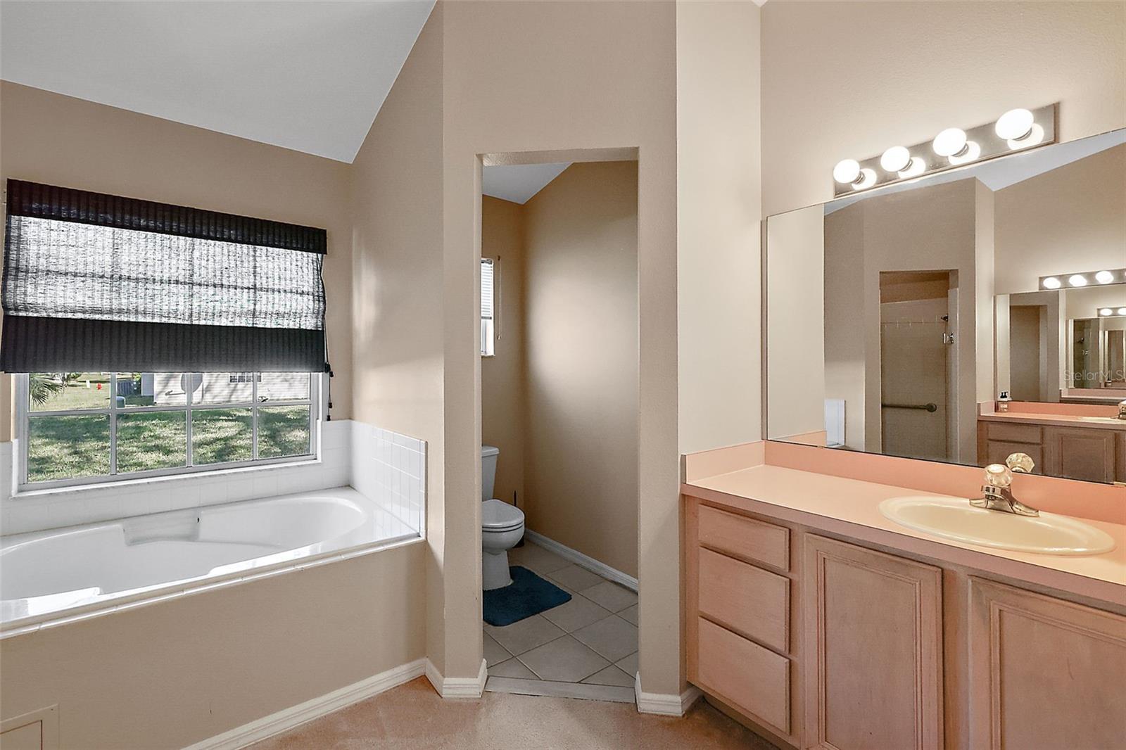 5535 HAMLIN CT, LEESBURG, FL, 34748