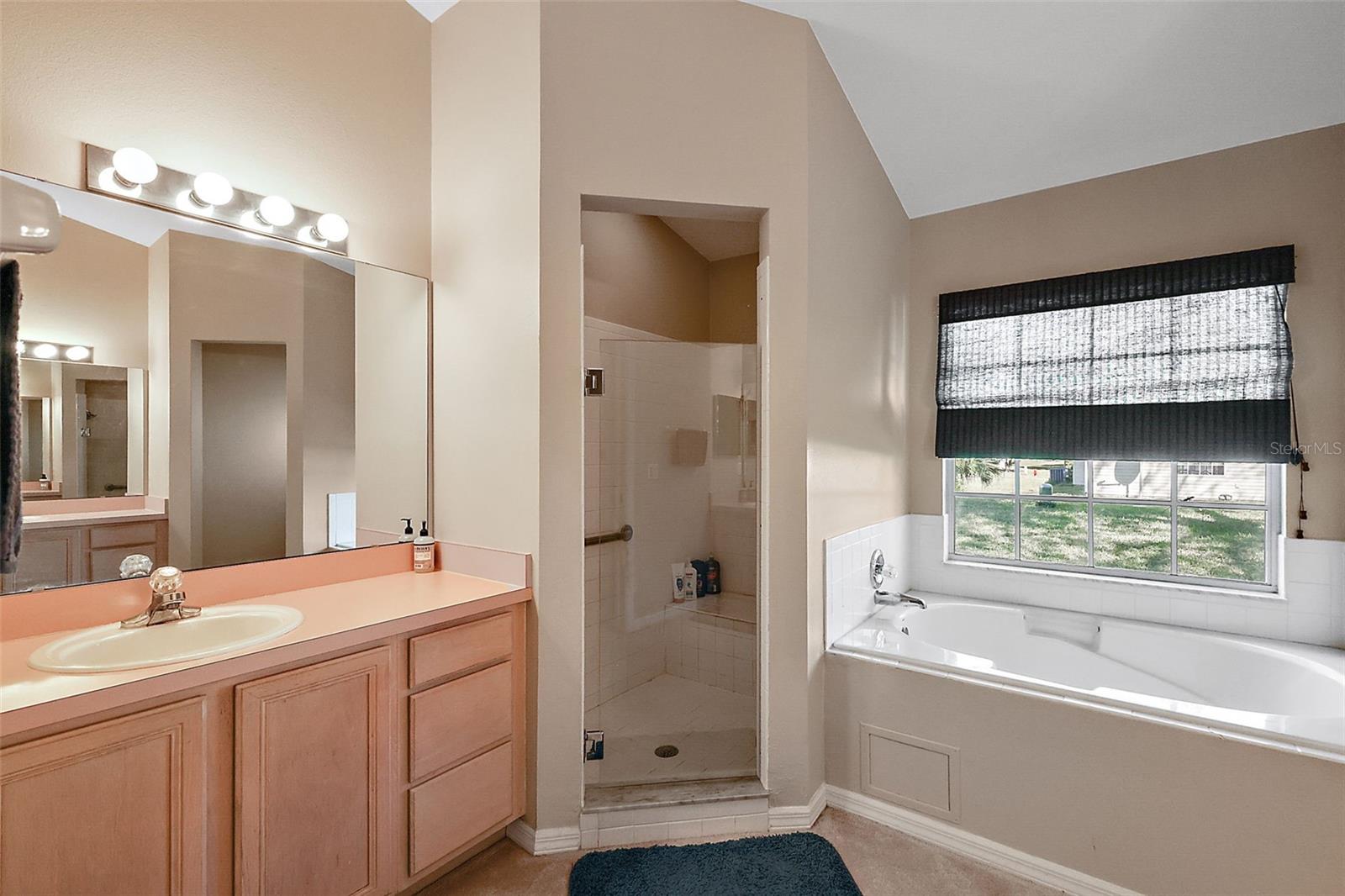 5535 HAMLIN CT, LEESBURG, FL, 34748