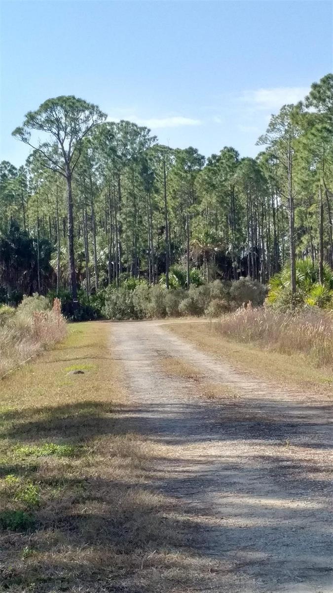 Lot 8 SW 104 ST, CEDAR KEY, FL, 32625