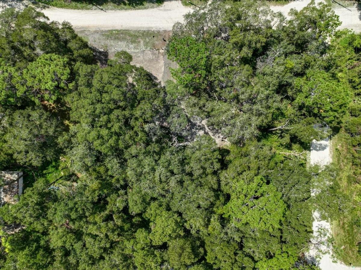 243 SE 914TH ST, OLD TOWN, FL, 32680