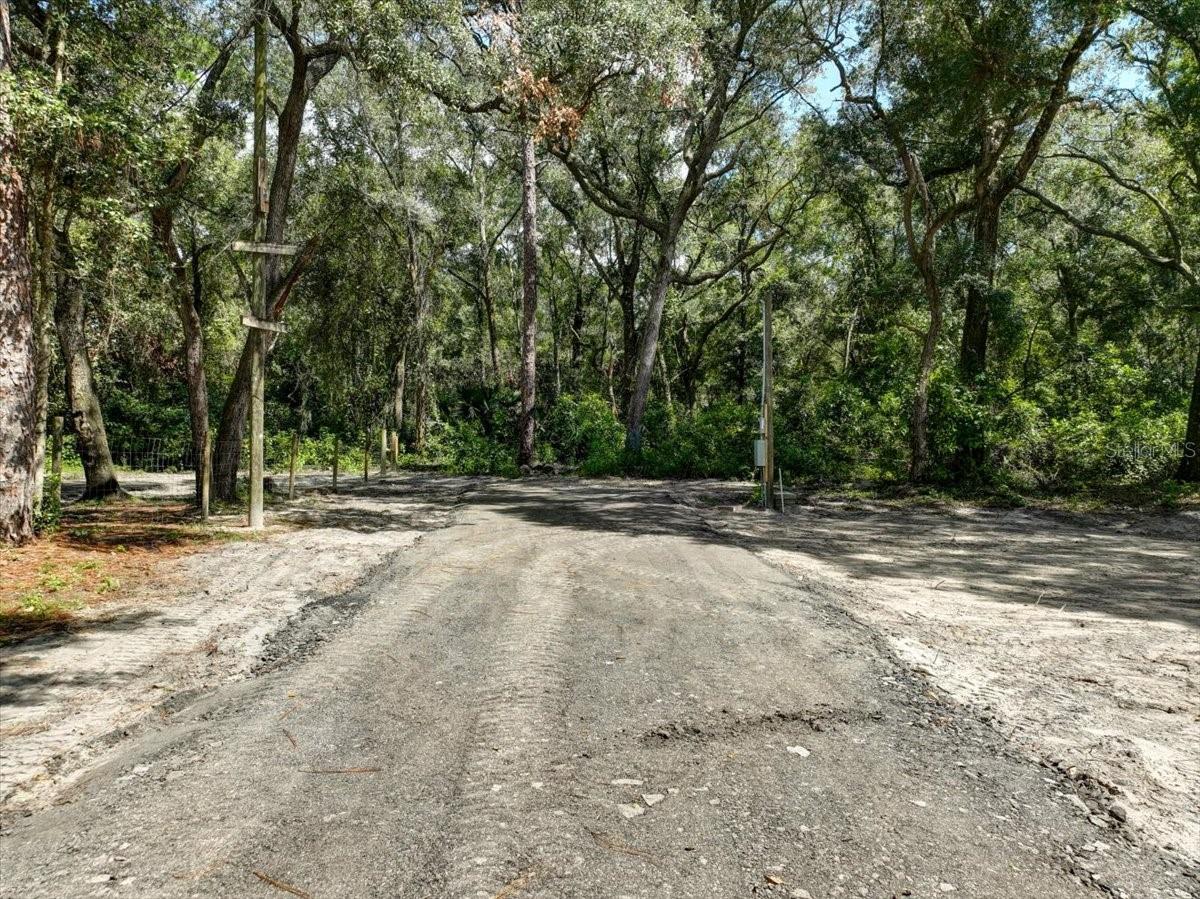 243 SE 914TH ST, OLD TOWN, FL, 32680