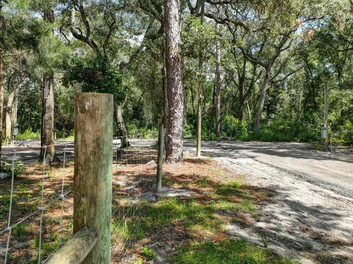 243 SE 914TH ST, OLD TOWN, FL, 32680
