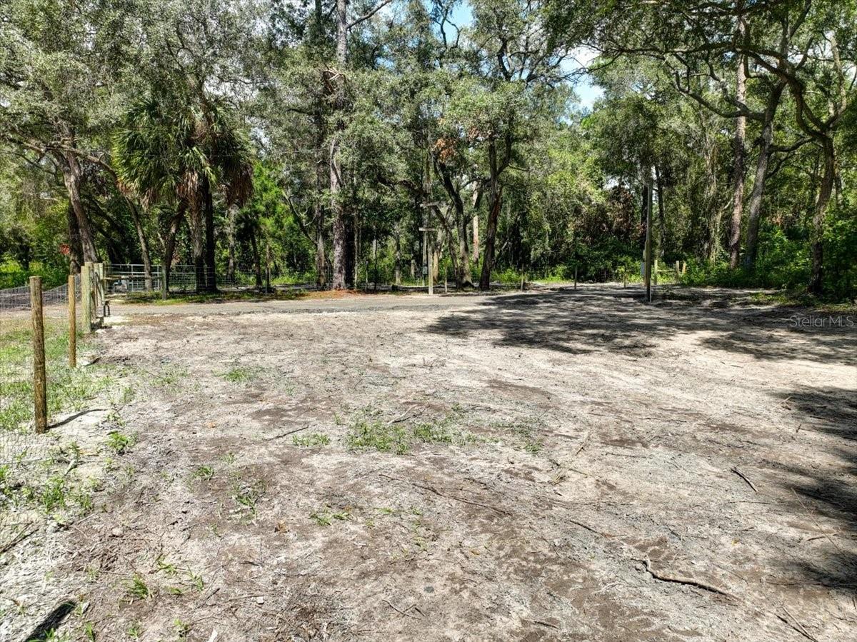 243 SE 914TH ST, OLD TOWN, FL, 32680