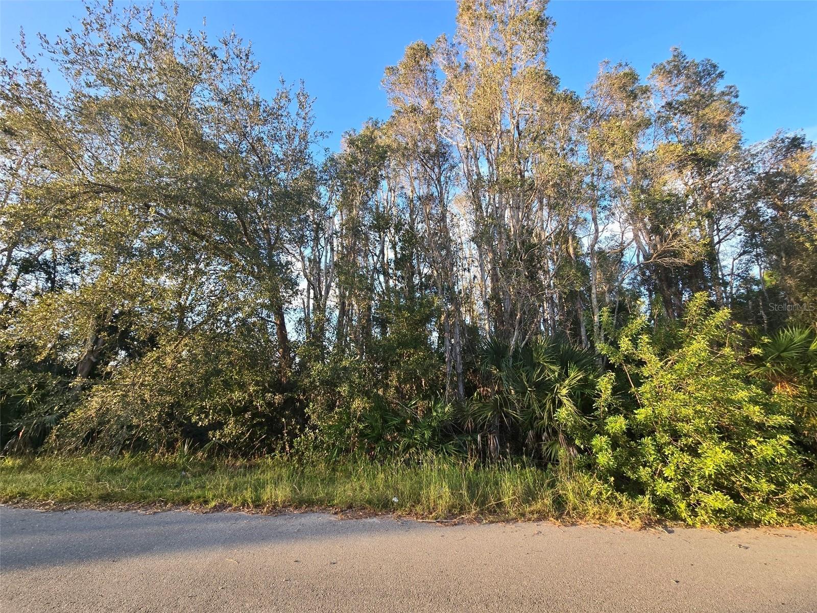 3402 39TH ST SW, LEHIGH ACRES, FL, 33976