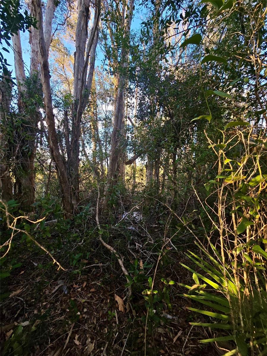 3402 39TH ST SW, LEHIGH ACRES, FL, 33976