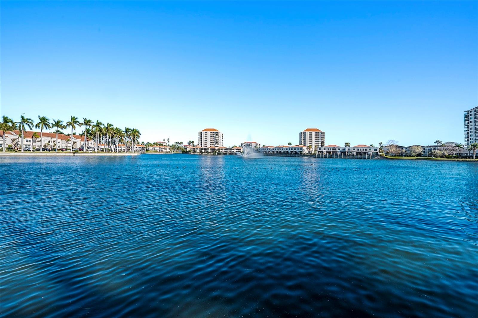 6061 BAHIA DEL MAR CIR #241, ST PETERSBURG, FL, 33715