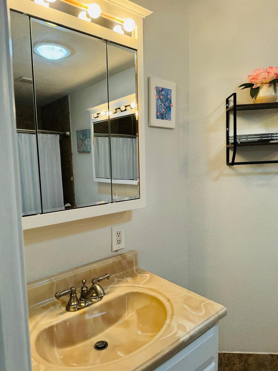 7615 LAUREL OAK CT, PORT RICHEY, FL, 34668
