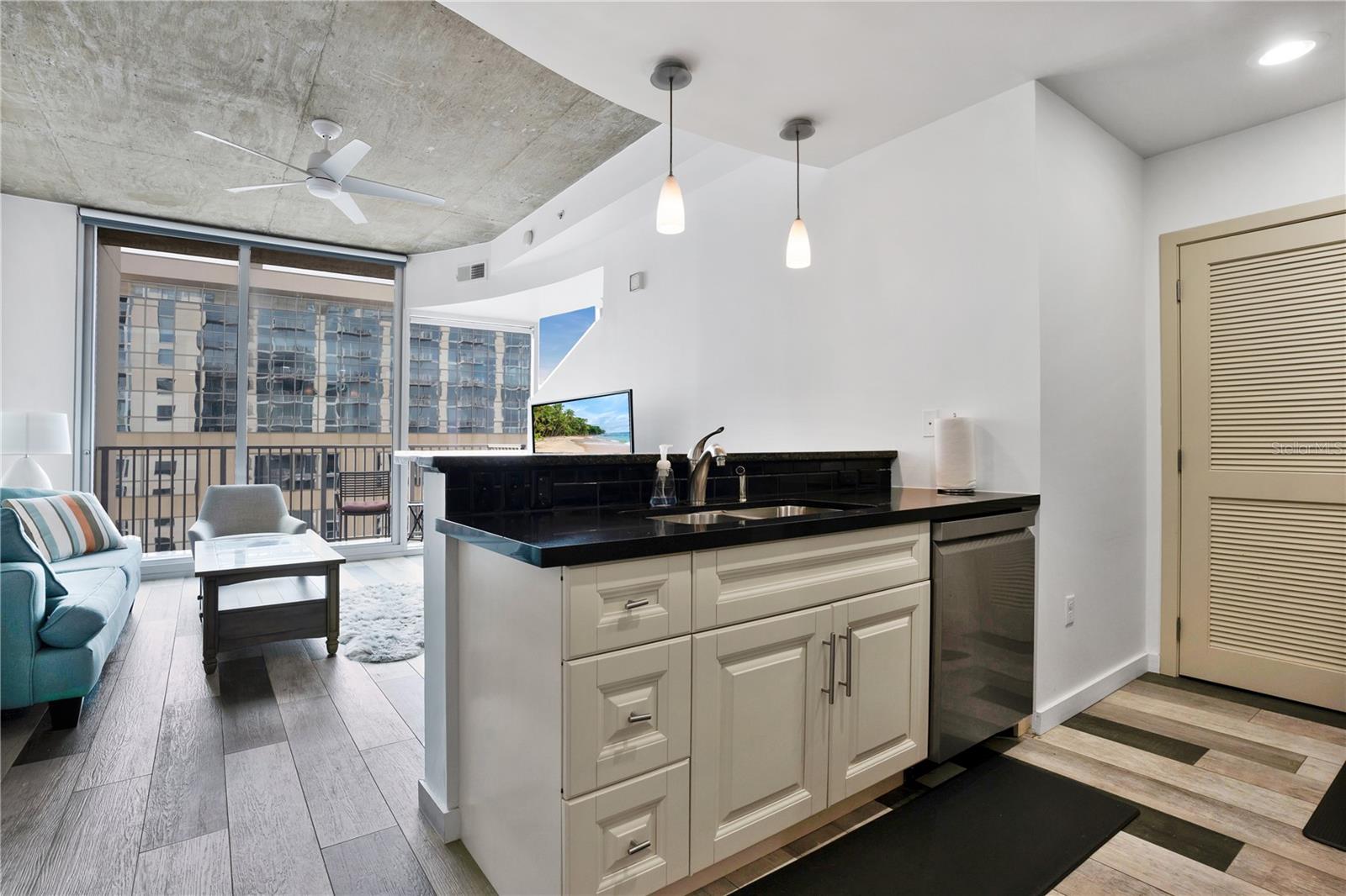 155 S COURT AVE #2004, ORLANDO, FL, 32801