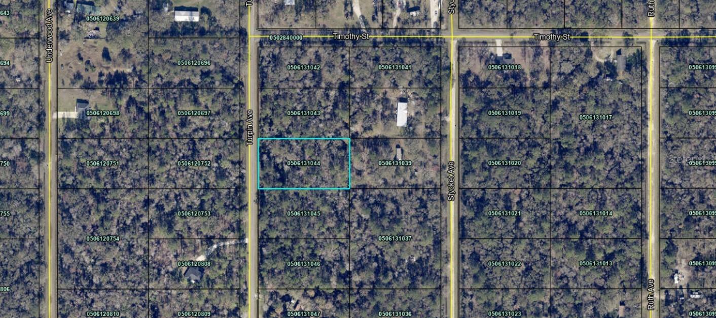 10240 TURPIN AVE, HASTINGS, FL, 32145