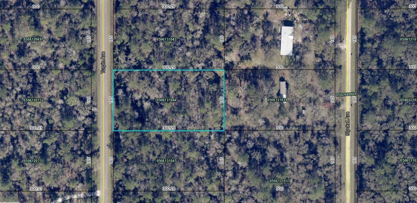 10240 TURPIN AVE, HASTINGS, FL, 32145