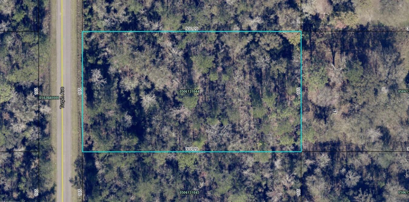 10240 TURPIN AVE, HASTINGS, FL, 32145