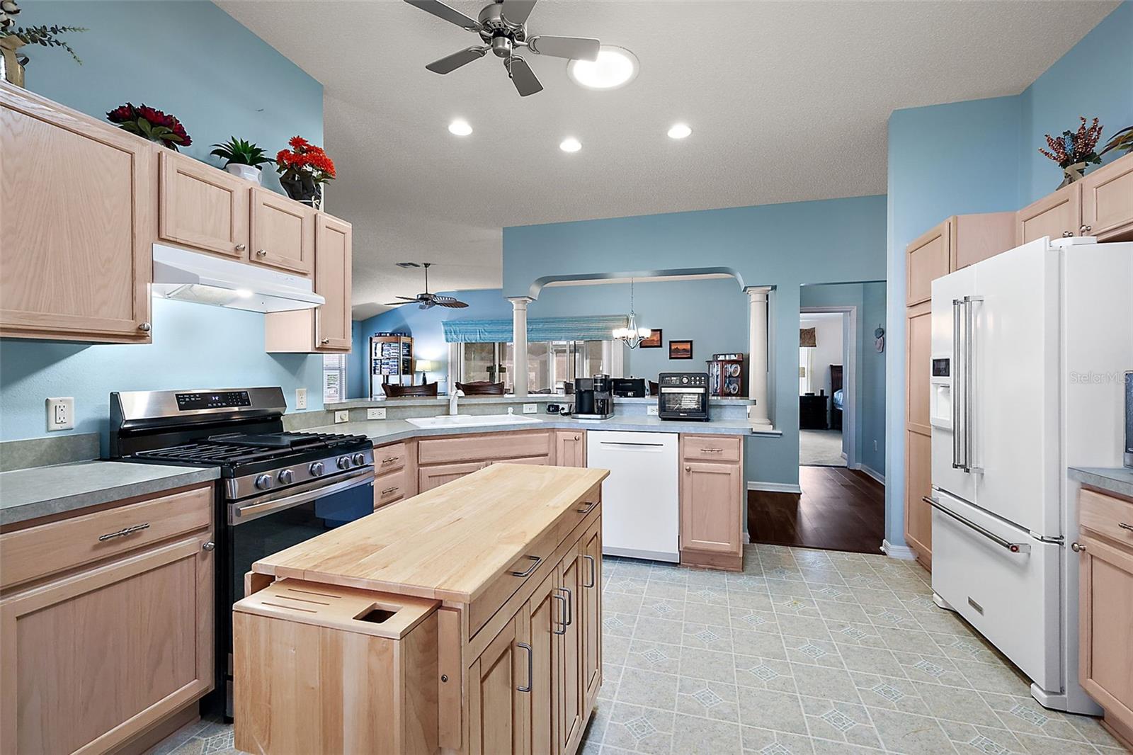 8090 SE 171ST MCALPIN ST, THE VILLAGES, FL, 32162