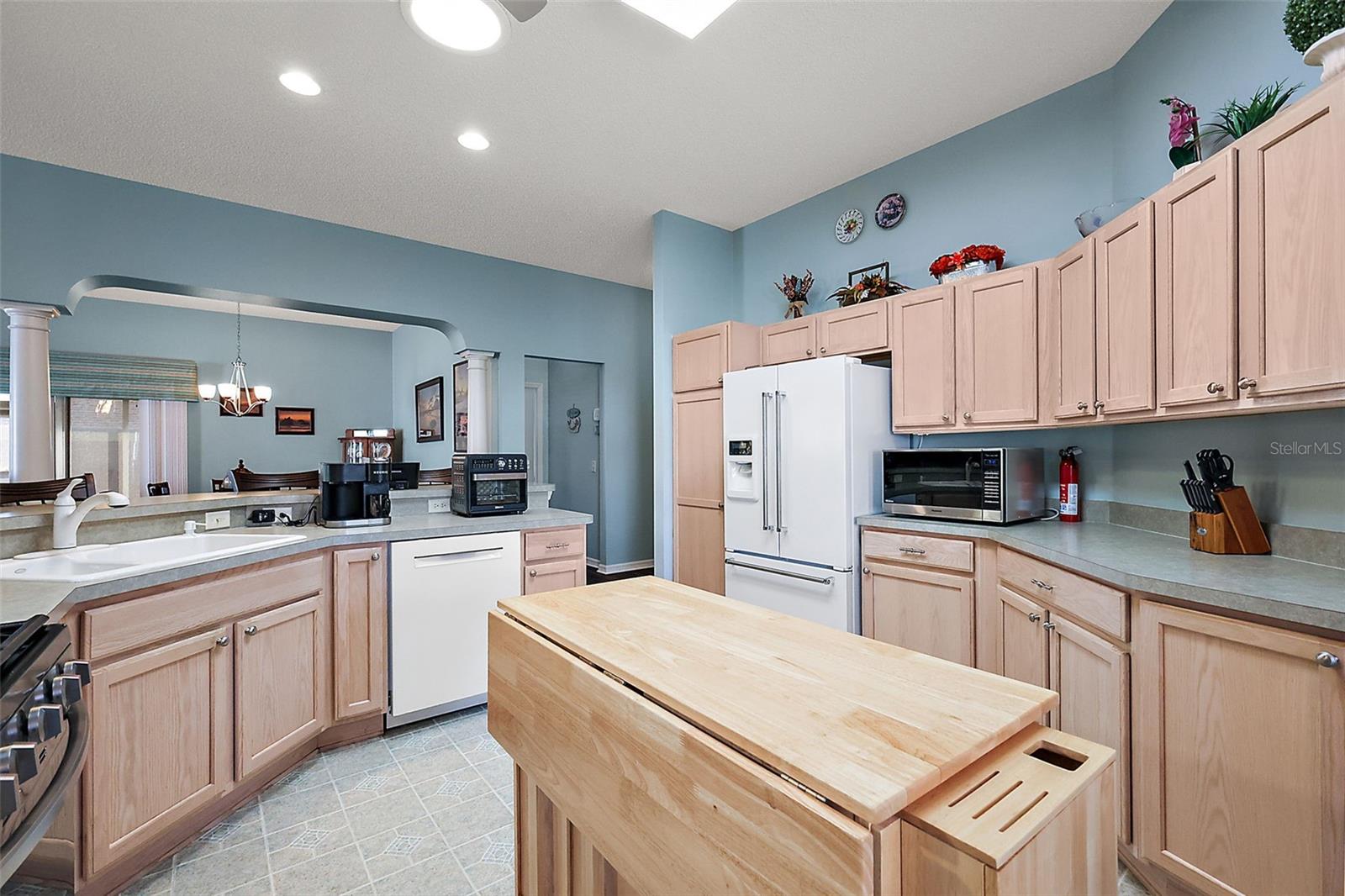 8090 SE 171ST MCALPIN ST, THE VILLAGES, FL, 32162