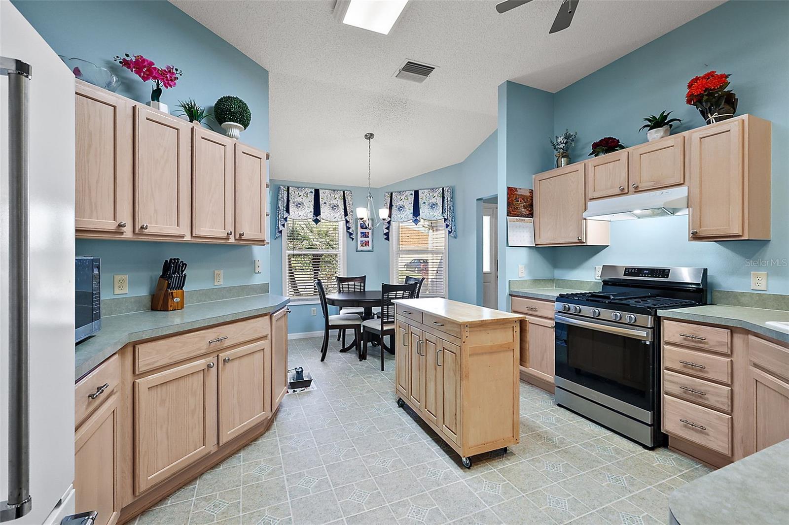 8090 SE 171ST MCALPIN ST, THE VILLAGES, FL, 32162