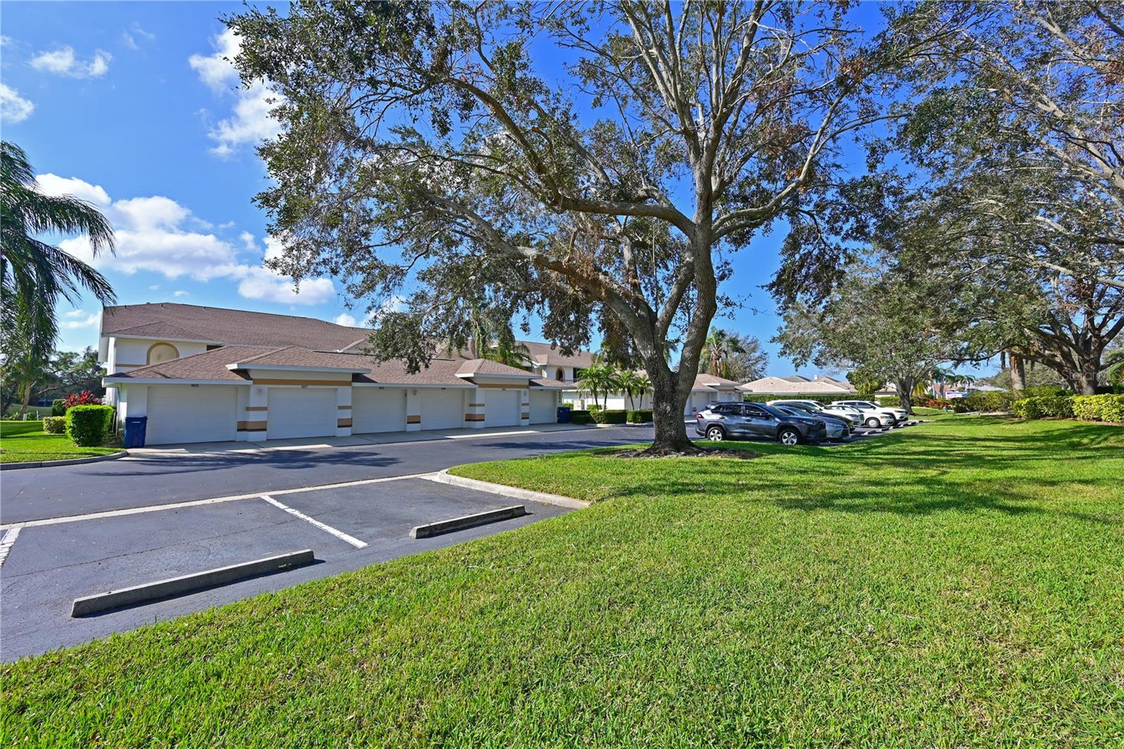 6904 DREWRYS BLF #810, BRADENTON, FL, 34203
