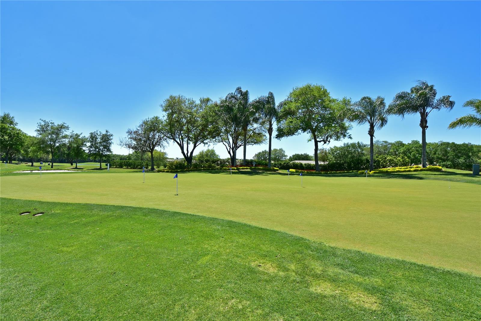 6904 DREWRYS BLF #810, BRADENTON, FL, 34203