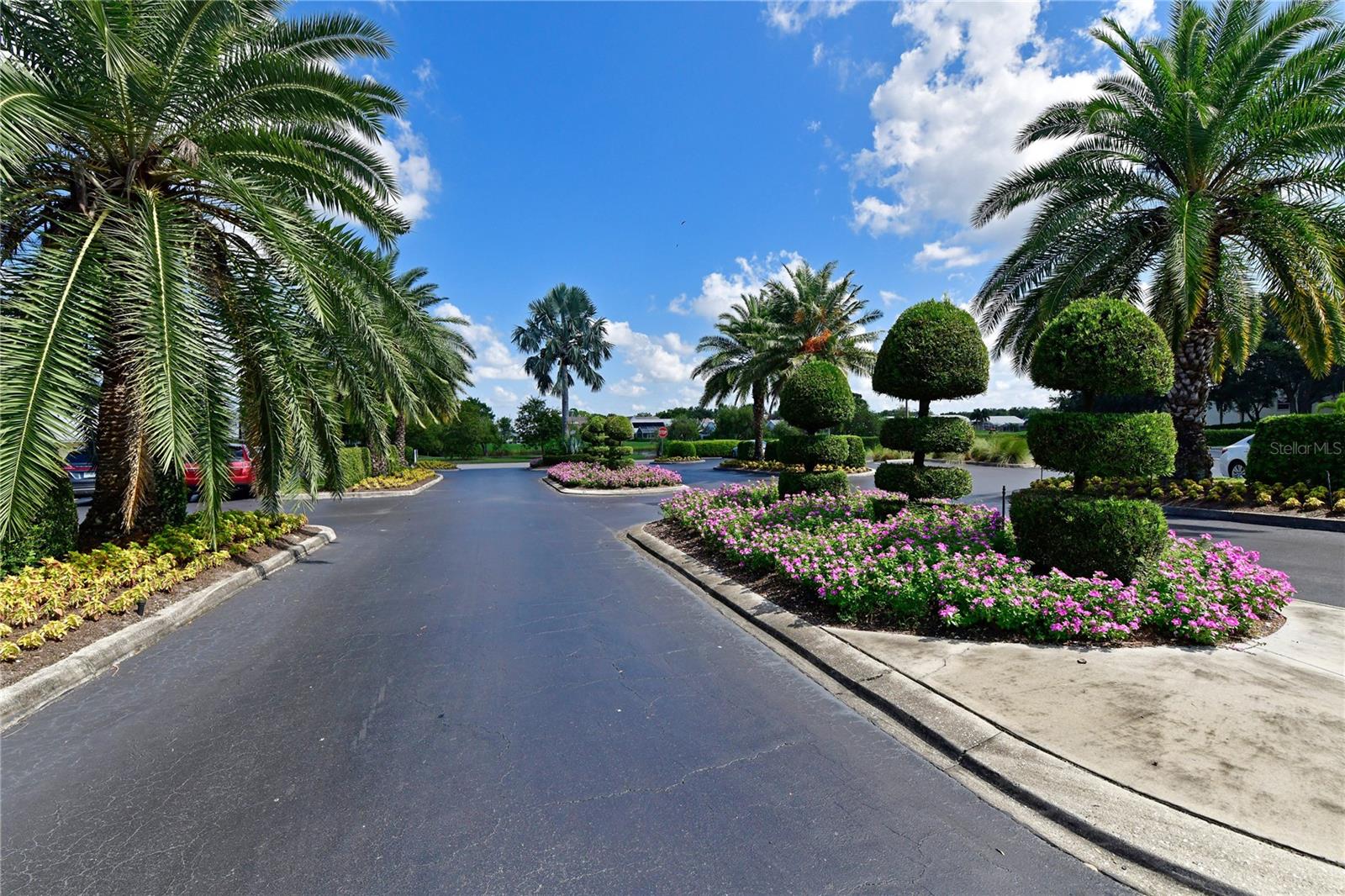 6904 DREWRYS BLF #810, BRADENTON, FL, 34203