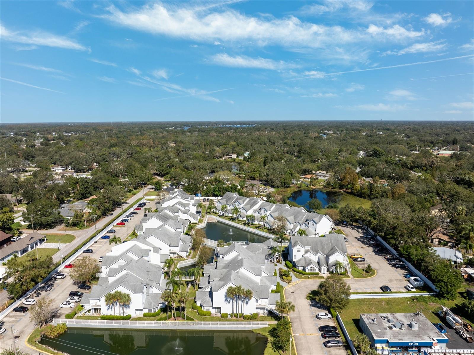 12101 ARMENIA GABLES CIR, TAMPA, FL, 33612