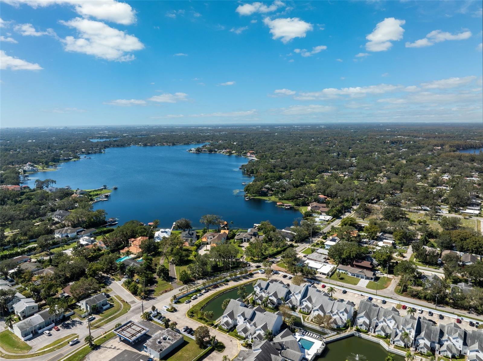 12101 ARMENIA GABLES CIR, TAMPA, FL, 33612