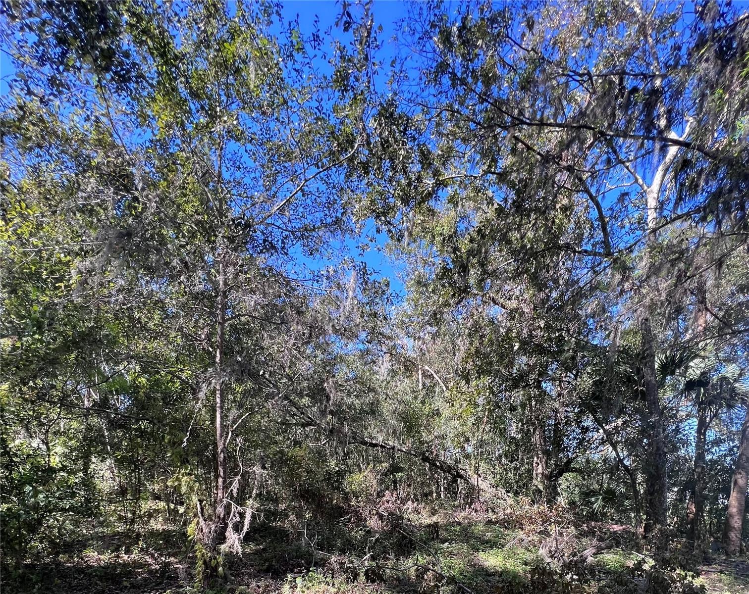 0 CHEYENNE PASS, BROOKSVILLE, FL, 34601