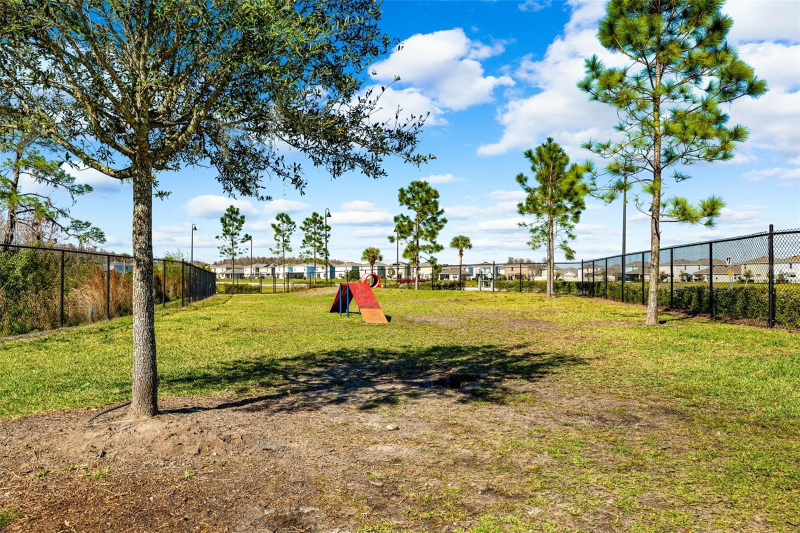 15502 BLACK PEPPER LN, ODESSA, FL, 33556