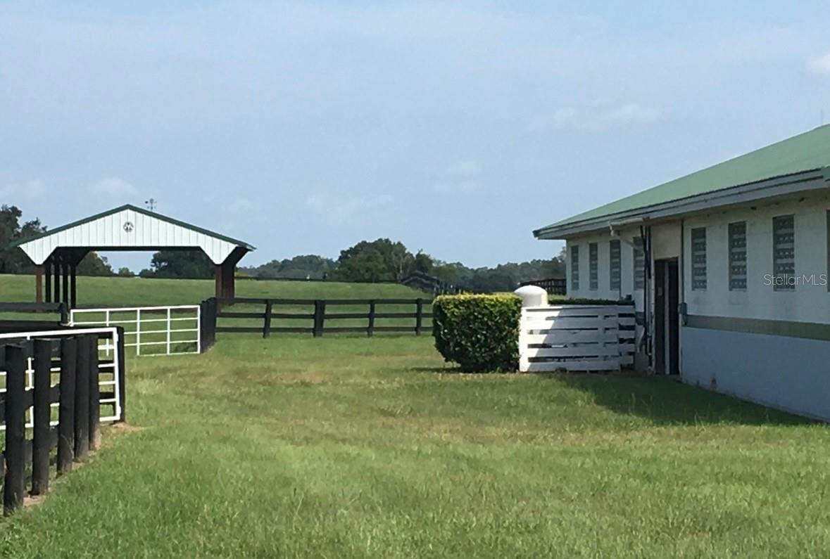 295 NE 110TH ST, OCALA, FL, 34479