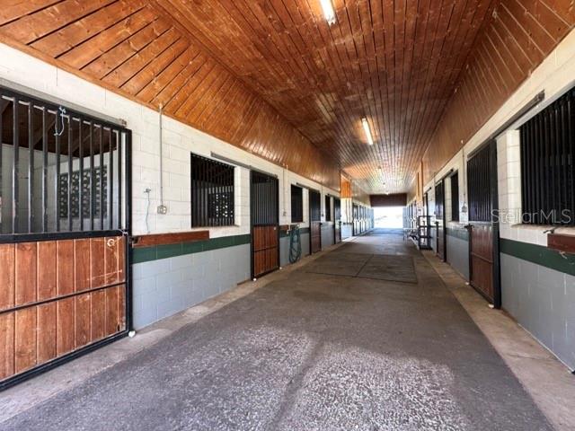 295 NE 110TH ST, OCALA, FL, 34479