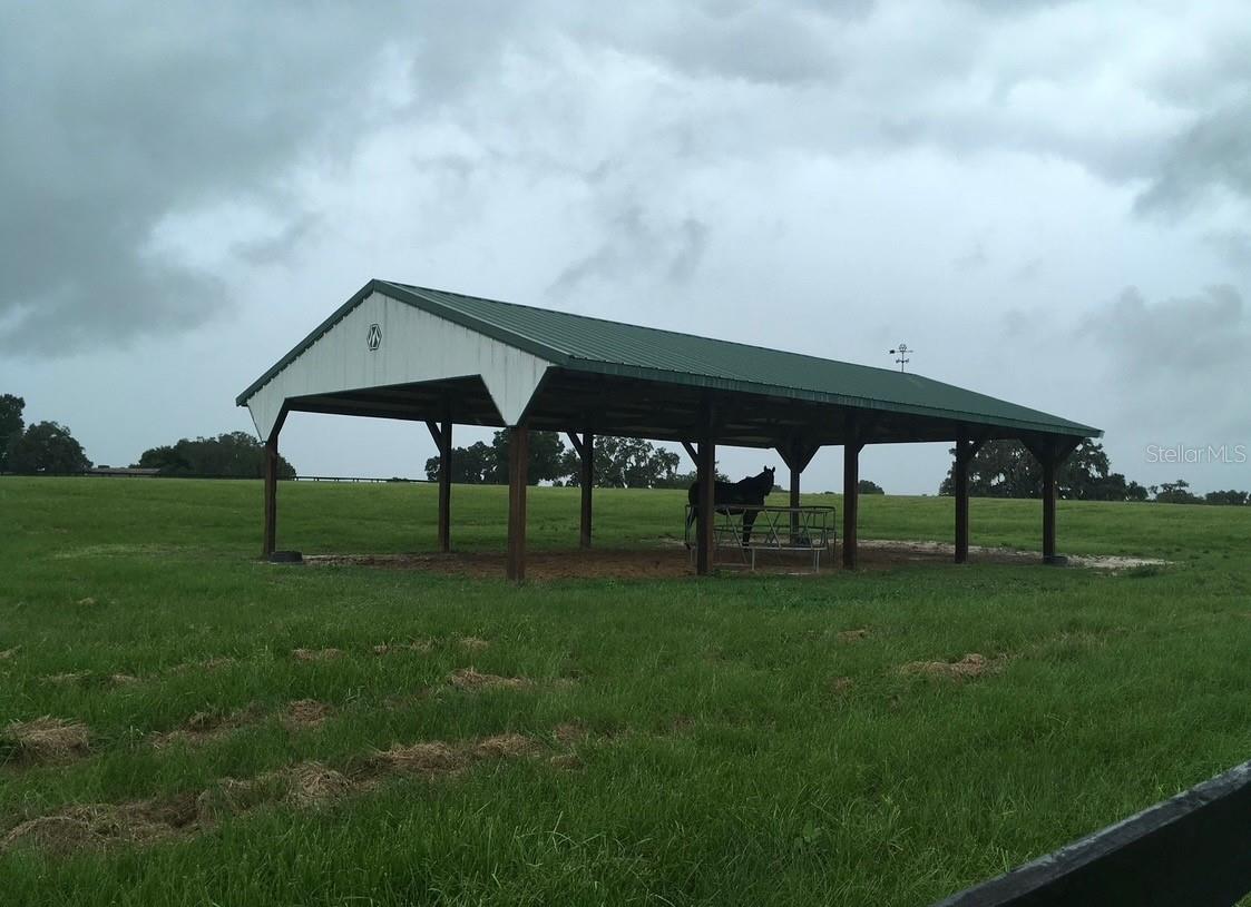 295 NE 110TH ST, OCALA, FL, 34479