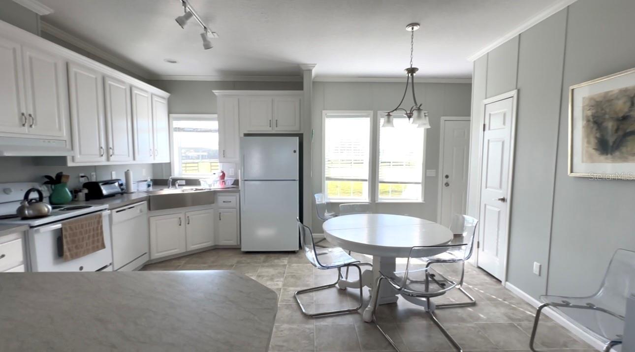 295 NE 110TH ST, OCALA, FL, 34479