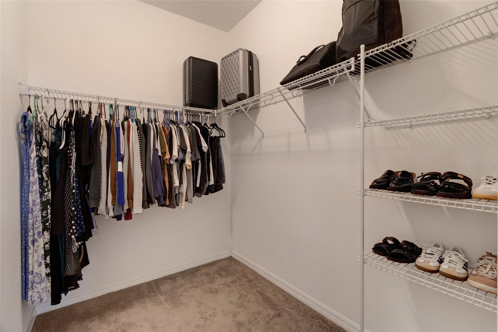 30827 PARROT REEF CT, WESLEY CHAPEL, FL, 33545