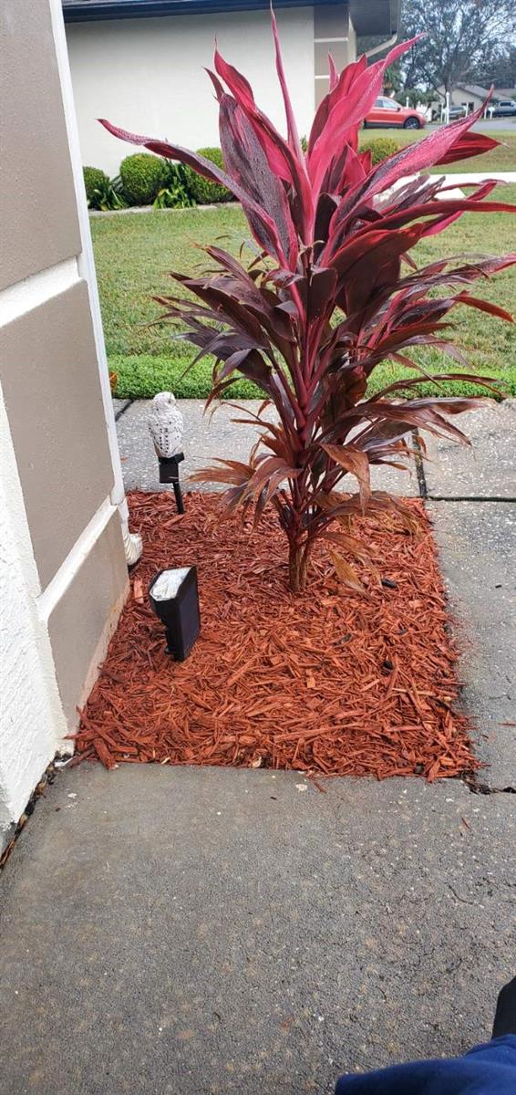 790 W CAREY LN, AVON PARK, FL, 33825