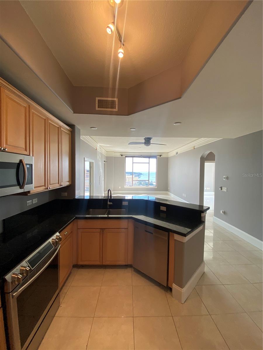 275 BAYSHORE BLVD #1408, TAMPA, FL, 33606