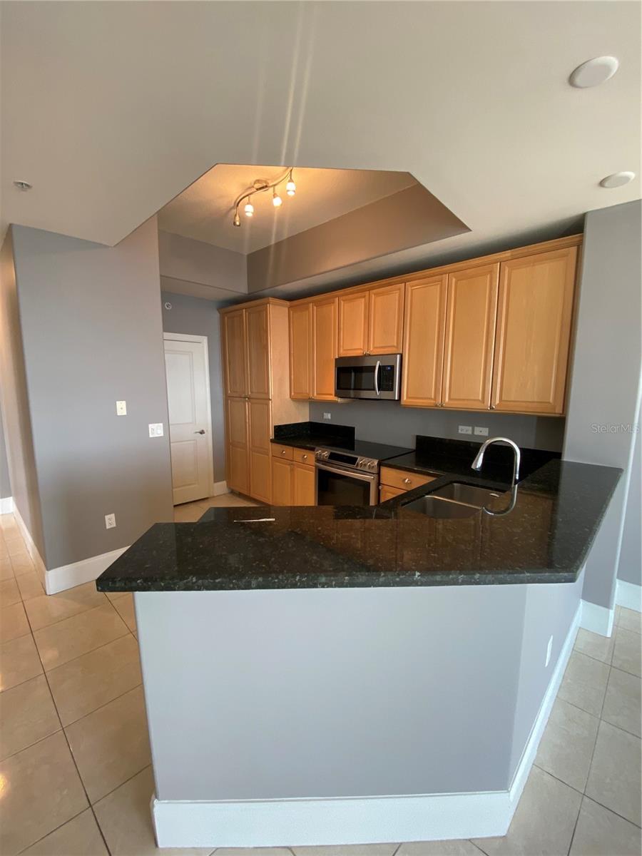 275 BAYSHORE BLVD #1408, TAMPA, FL, 33606