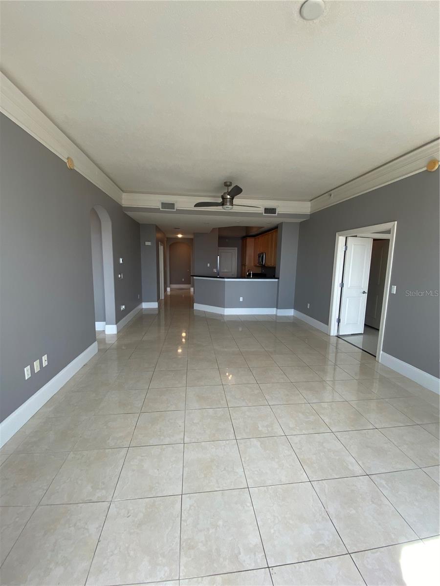 275 BAYSHORE BLVD #1408, TAMPA, FL, 33606