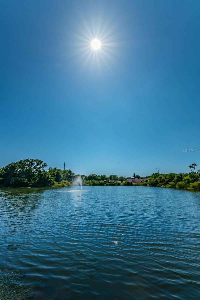 2690 CORAL LANDINGS BLVD #722, PALM HARBOR, FL, 34684